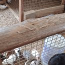 민준농장 이미지