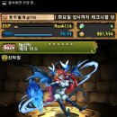 신*득