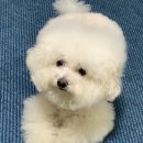 영지메디컬 이미지