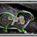 자전거쉼터 이미지