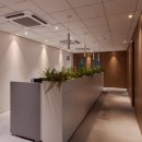 서초중앙로 142 (1) | 변호사 무료상담? 서울 강남 법률사무소 대표 변호사가 밝히는 진실 (24시간 카톡 상담)