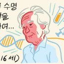 116세 세계 최고령 할머니의 ‘장수의 비결-꿀팁’ & 미국과 한국의 수명 이미지