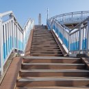 대구 구룡산~망우당공원(동구) 계단 이미지