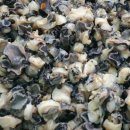 김성호농장 이미지