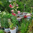 한태농장 이미지