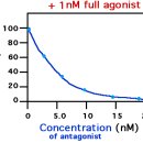 서울바른약국 이미지