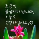 행복한아침 이미지