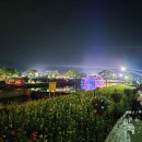 체험부스와 먹거리 야경까지 아주 더 괜찮았던 화순봄꽃축제 후기(주차꿀팁후기)