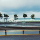 동해유정란농장 이미지