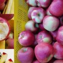 하촌2리 이미지