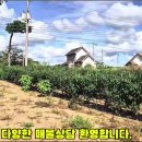 서산토지부동산공인중개사사무소 이미지