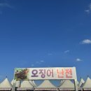 85호영동어촌계 | 속초 동명항 '오징어난전' 산오징어회, 오징어통찜, 오징어포, 오징어라면까지 🦑오징어 다 뿌신 후기😋😋