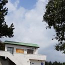 제주 서귀포 카페 베이커리 볼스프로덕션 방문후기