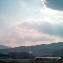 모실농장 이미지