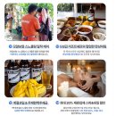 (주)오세샬롬 | 필리핀/세부: 세친구투어 오모팩(입국팩) 솔직후기 🐳