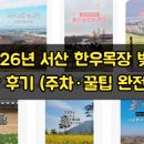 포코목장 | 2026년 서산 한우목장 벚꽃 실시간 후기 (주차·꿀팁 완전 정리)