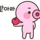 스마트범퍼 이미지