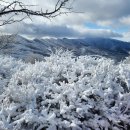 설국(雪國)으로의 여행 (팔랑치~바래봉) 이미지