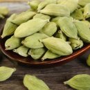 김정희오일 이미지