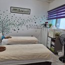 힐링강릉 이미지