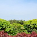 남원읍-34 이미지