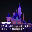 라이트닝 | 🇺🇸 LA 디즈니랜드 후기 2편 │ 추천 어트랙션·라이트닝 멀티패스·불꽃놀이 후기