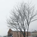 스테이 서종 이미지