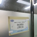 하이투유스튜디오 | [증명사진] 성수 증사 맛집 하이투유 스튜디오 💕 와 소소한 하루...🤩