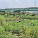 대장천생태습지 공원화장실 이미지