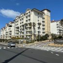 새서귀초등학교 이미지