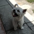 아트앤스테이 이미지