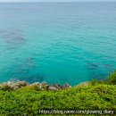 풍바이크 | 삼척 1박2일 뚜벅이 여행 코스 추천｜강원도 여행 가볼 만한 곳부터 버스 이동까지 총정리