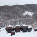 깊은내농장 이미지