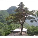 6월 산행 봉화 청량산(870m) 이미지