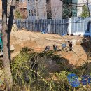 동대문구 구립 동대문장애인종합복지관(다목적강당) | 동대문구, 보훈회관옆에 ‘구립 어르신종합복지관’ 건립한다