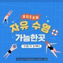 센츄리3쿠션전용클럽 | 부산 자유수영 가능한 곳 정리 ㅣ금액 및 운영시간 위치