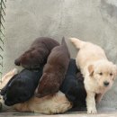 올림푸스원 이미지