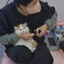 두부두부캣묭실 이미지