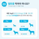 루스켄넬 이미지