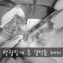 중곡동물병원 이미지