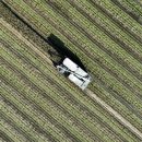 안정농업협동조합 이미지