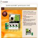 고려산삼 이미지