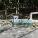 부산어린이대공원 | ​[부산/초읍] 주말 아이와 가볼만한 곳: 부산 어린이대공원 &amp; 성지곡수원지 산책 후기 🌳☀️