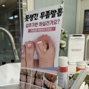 바다네일 네이버블로그