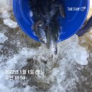 그린낚시터 이미지