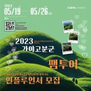 파워 인플루언서(블로그와 유튜브) 이미지