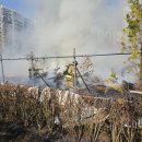 강남초교 이미지