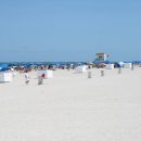 마이애미 이미지