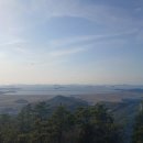 도암흑염소 이미지