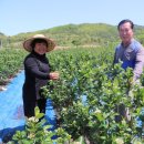 상곡농장 이미지